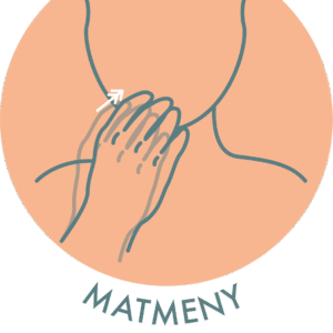 Matmeny biljett