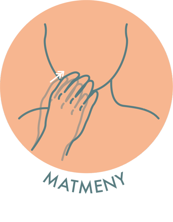 Matmeny biljet